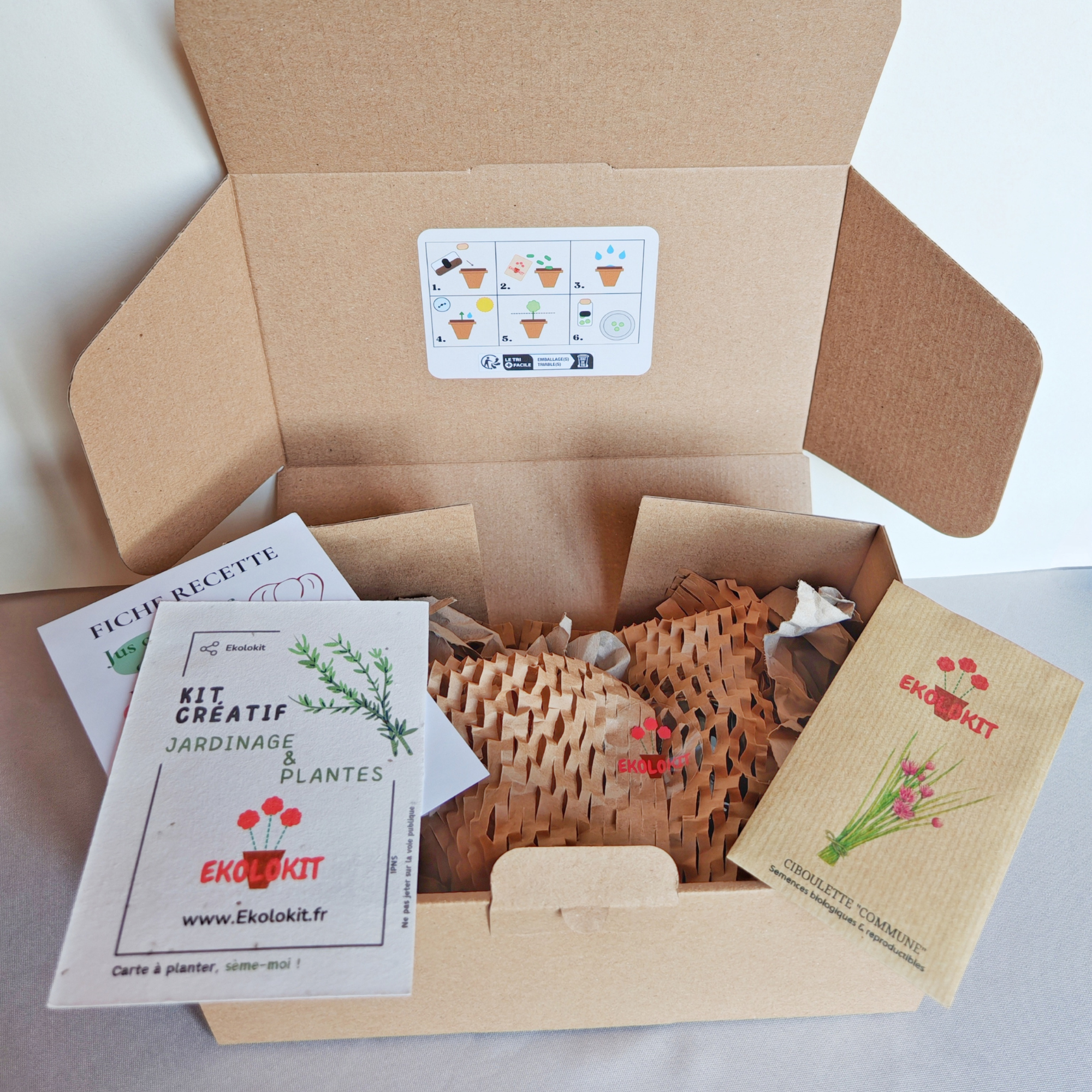 Mon Kit : Ciboulette Commune