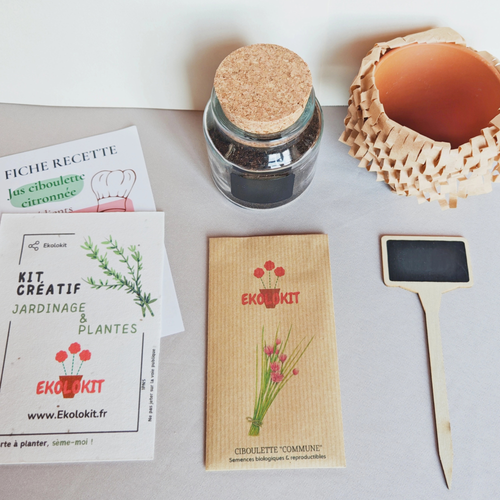 Mon Kit : Ciboulette Commune