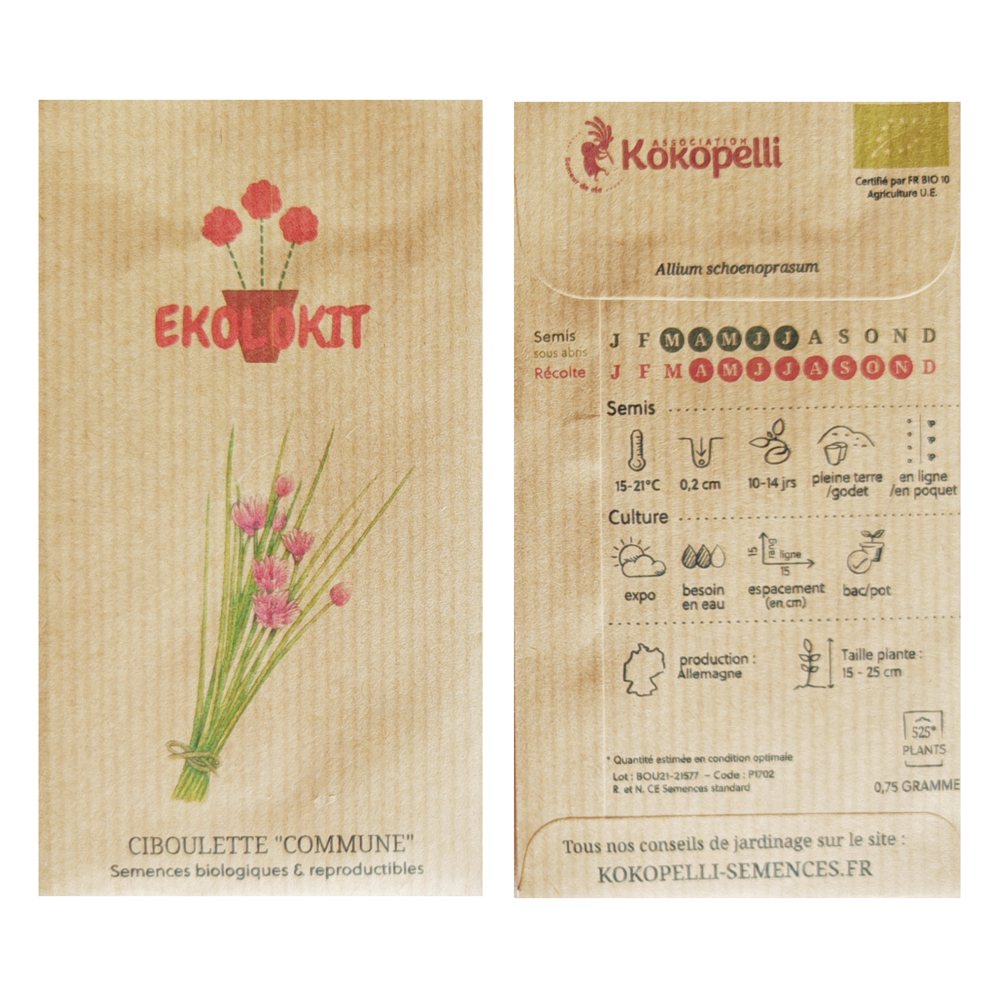 Mon Kit : Ciboulette Commune
