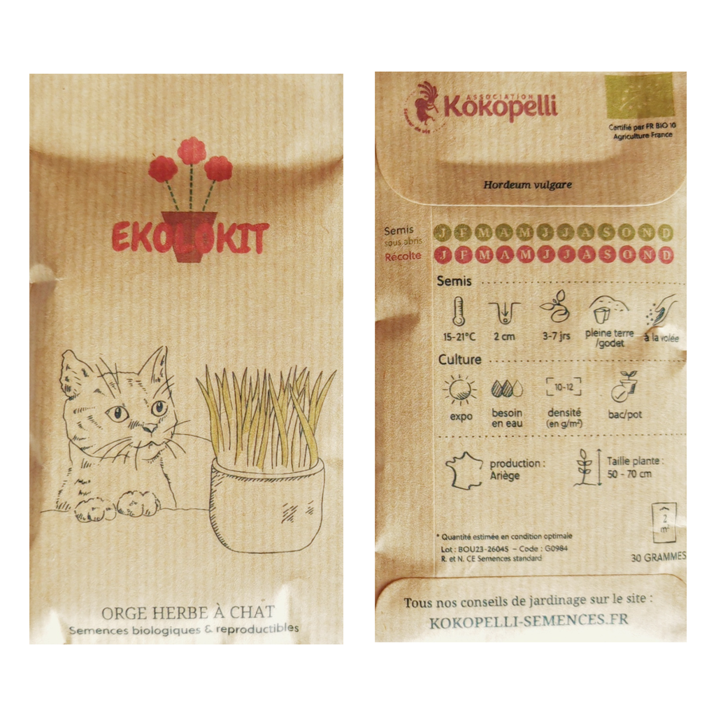 Mon Kit : Orge - Herbe à Chat