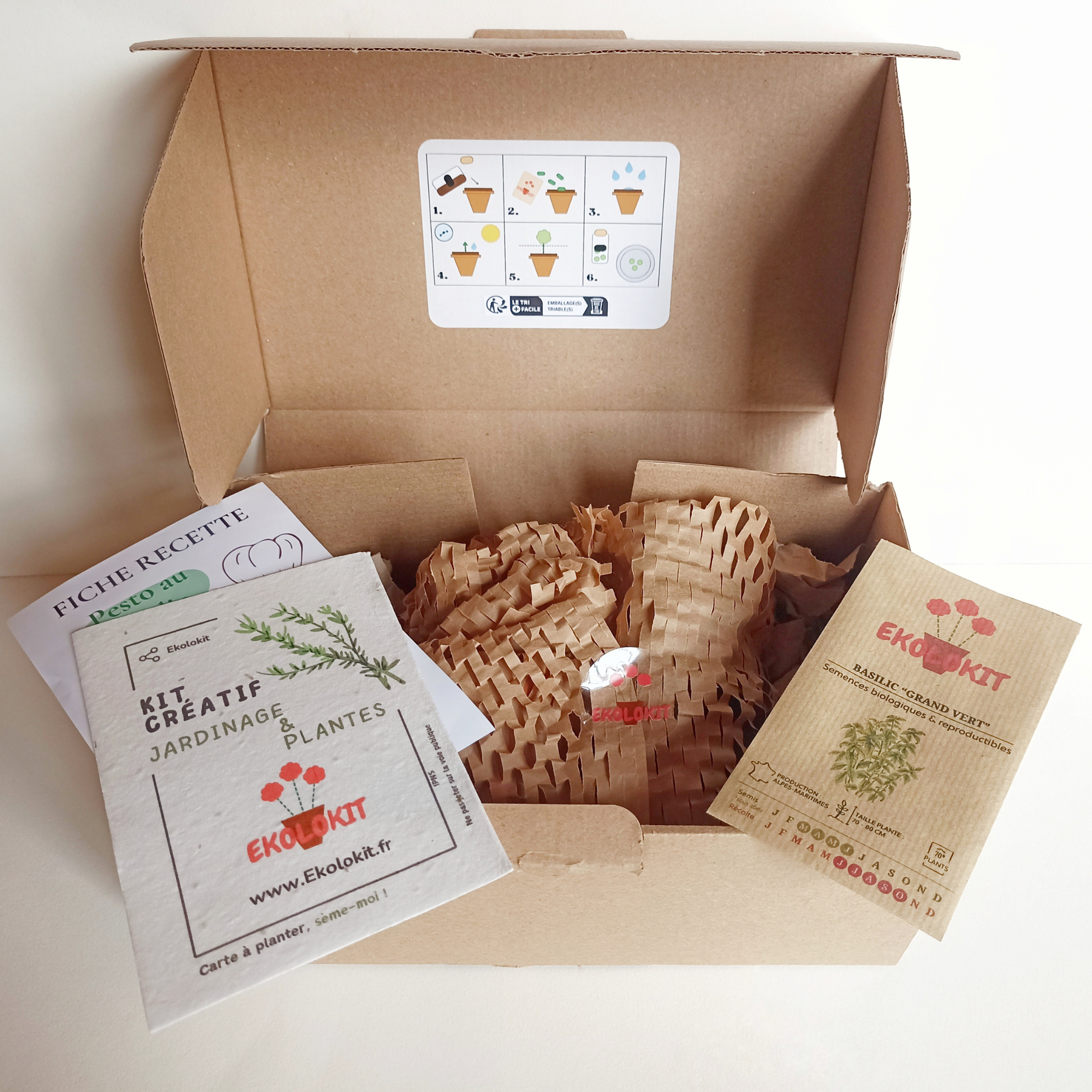 Mon Kit : "Basilic Grand Vert"