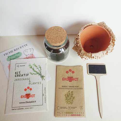 Mon Kit : "Basilic Grand Vert"