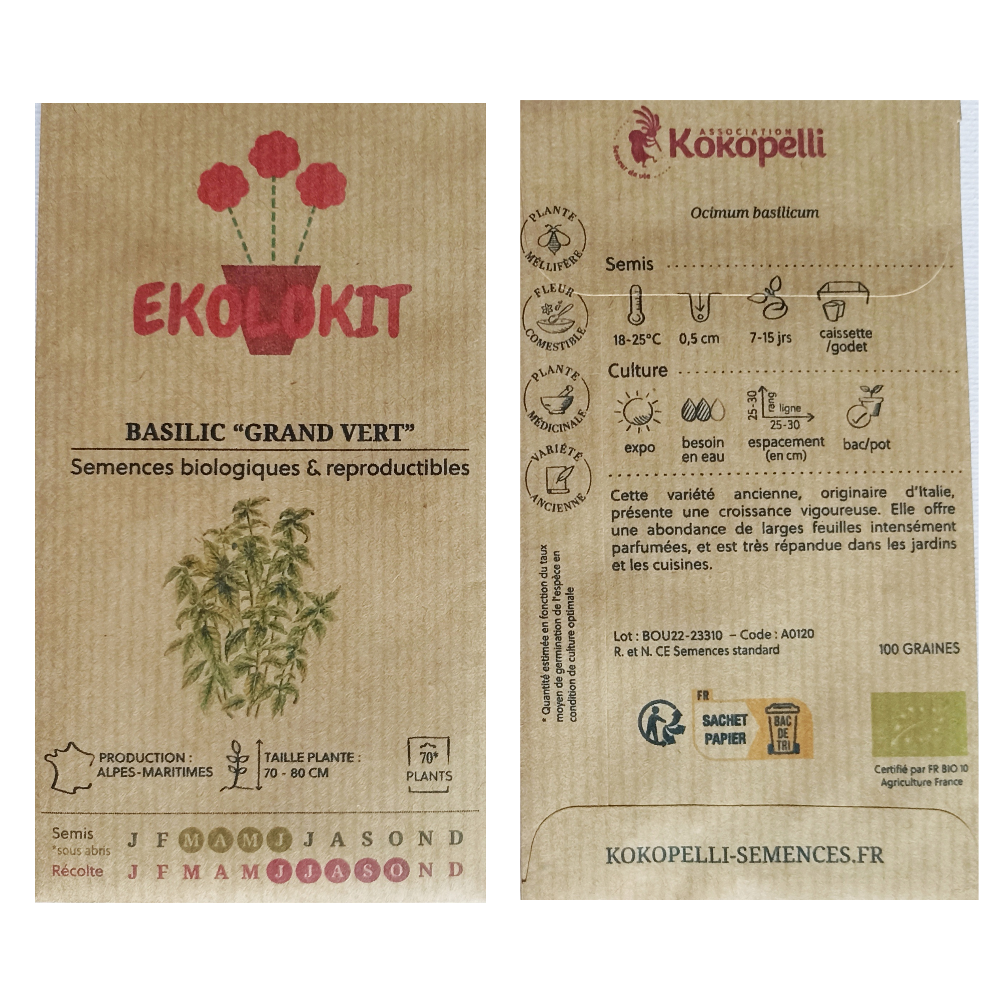 Mon Kit : "Basilic Grand Vert"