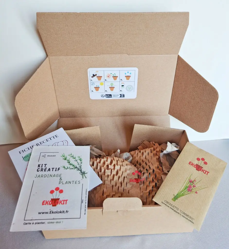 Mon kit : Ciboulette commune