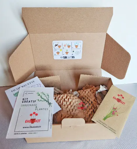 Mon kit : Ciboulette commune